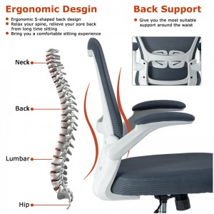 ERGODESIGN Ergonomic Mesh Office Chair with Adjustable Armrest for Home and Office Use