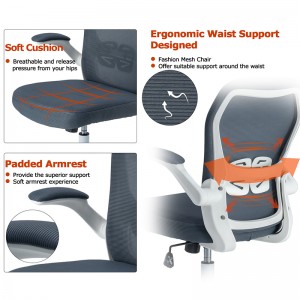 ERGODESIGN Ergonomic Mesh Office Chair with Adjustable Armrest for Home and Office Use