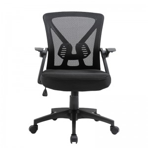 ERGODESIGN Mid Back Swivel Computer Ergonomic Mesh