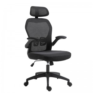 ERGODESIGN Ergonomic Mesh Chair Mid-Back