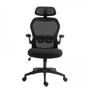 ERGODESIGN Ergonomic Mesh Chair Mid-Back