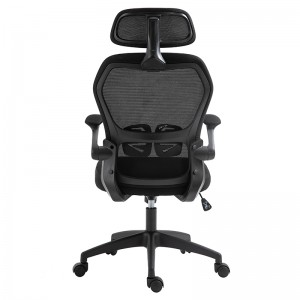 ERGODESIGN Ergonomic Mesh Chair Mid-Back